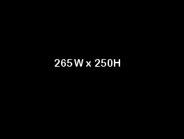 265x250